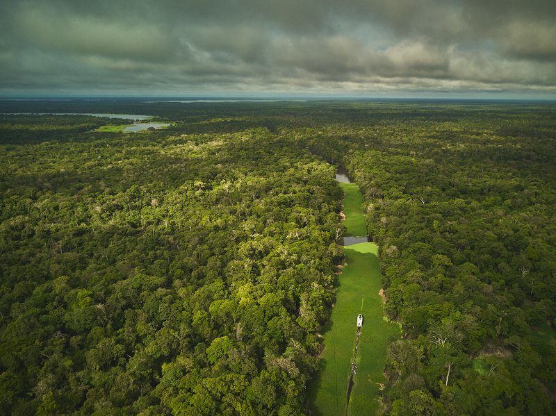 Panorâmica paisagem floresta 2 - crédito Rodolfo Pongelupe